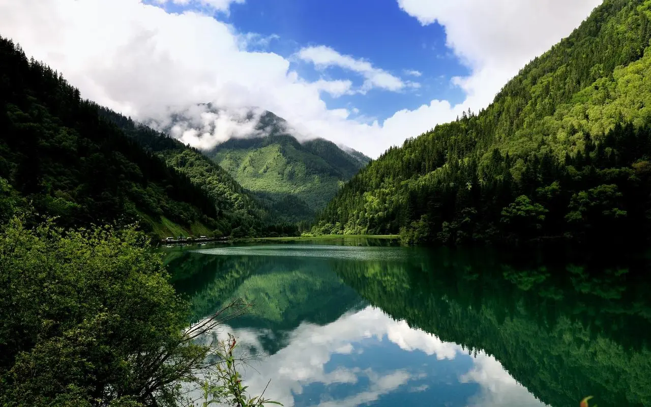 高效高性能高效